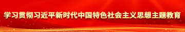 操鸡吧視頻学习贯彻习近平新时代中国特色社会主义思想主题教育